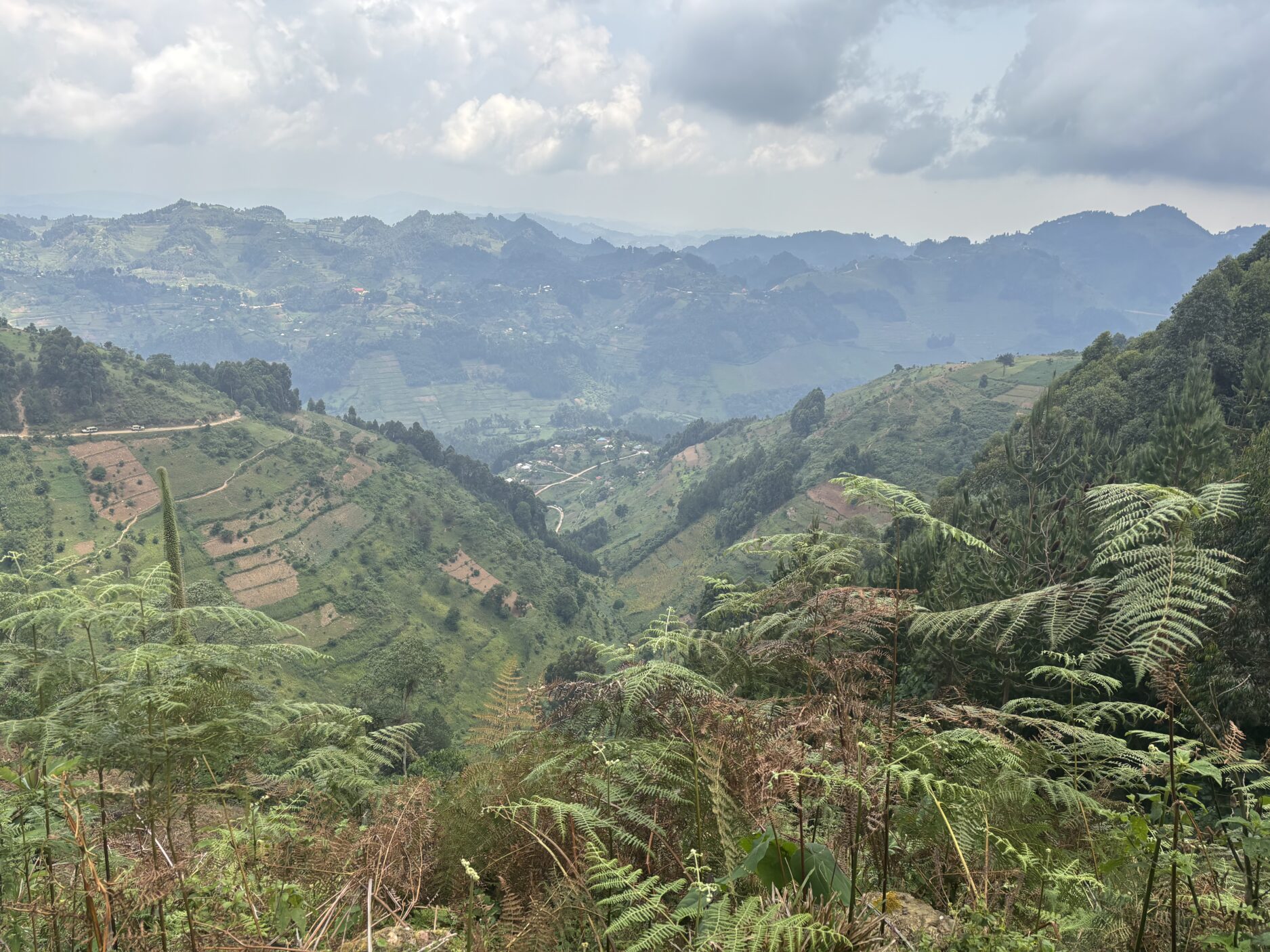 Uganda: Wildlife, Community & Purposeful Travel