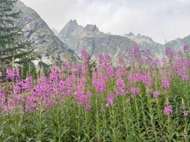 Hiking The Tour de Mont Blanc (TMB). 9 Parents, 14 Young Adult Kids, and 7 Significant Others in France, Italy, and Switzerland