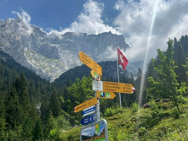 6 Days of Hiking in Switzerland on The Bernese Oberland Section of the Via Alpina Trail
